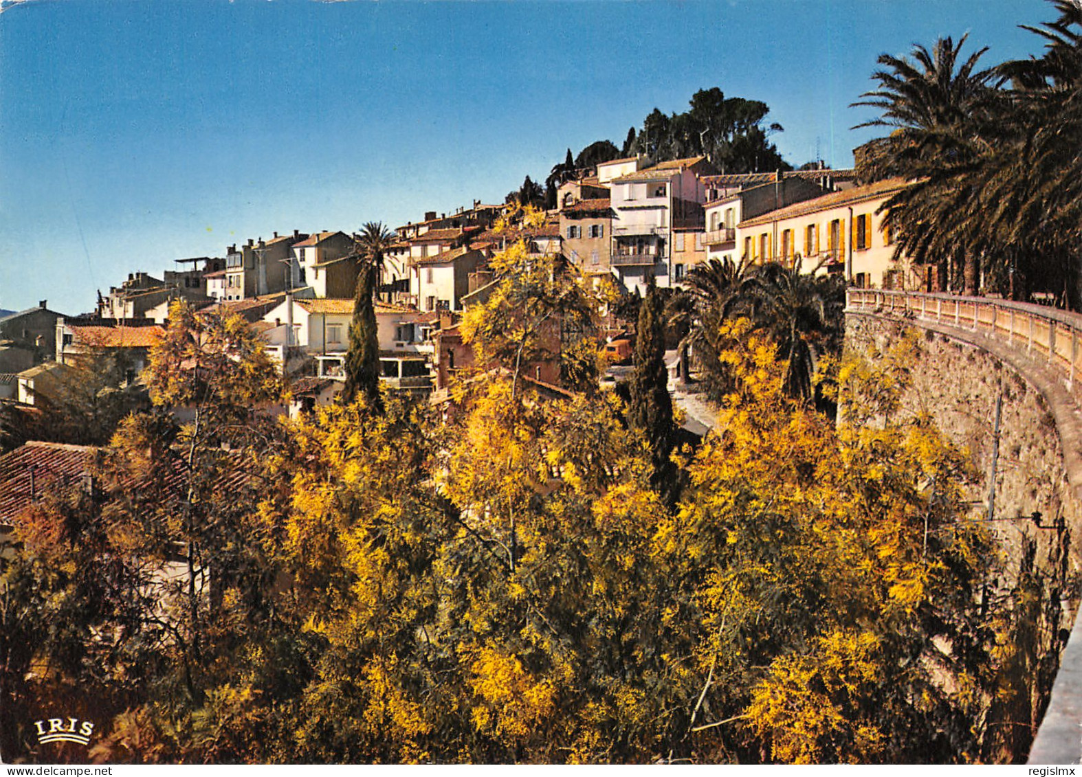 83-BORMES LES MIMOSAS-N°T2672-A/0165 - Bormes-les-Mimosas