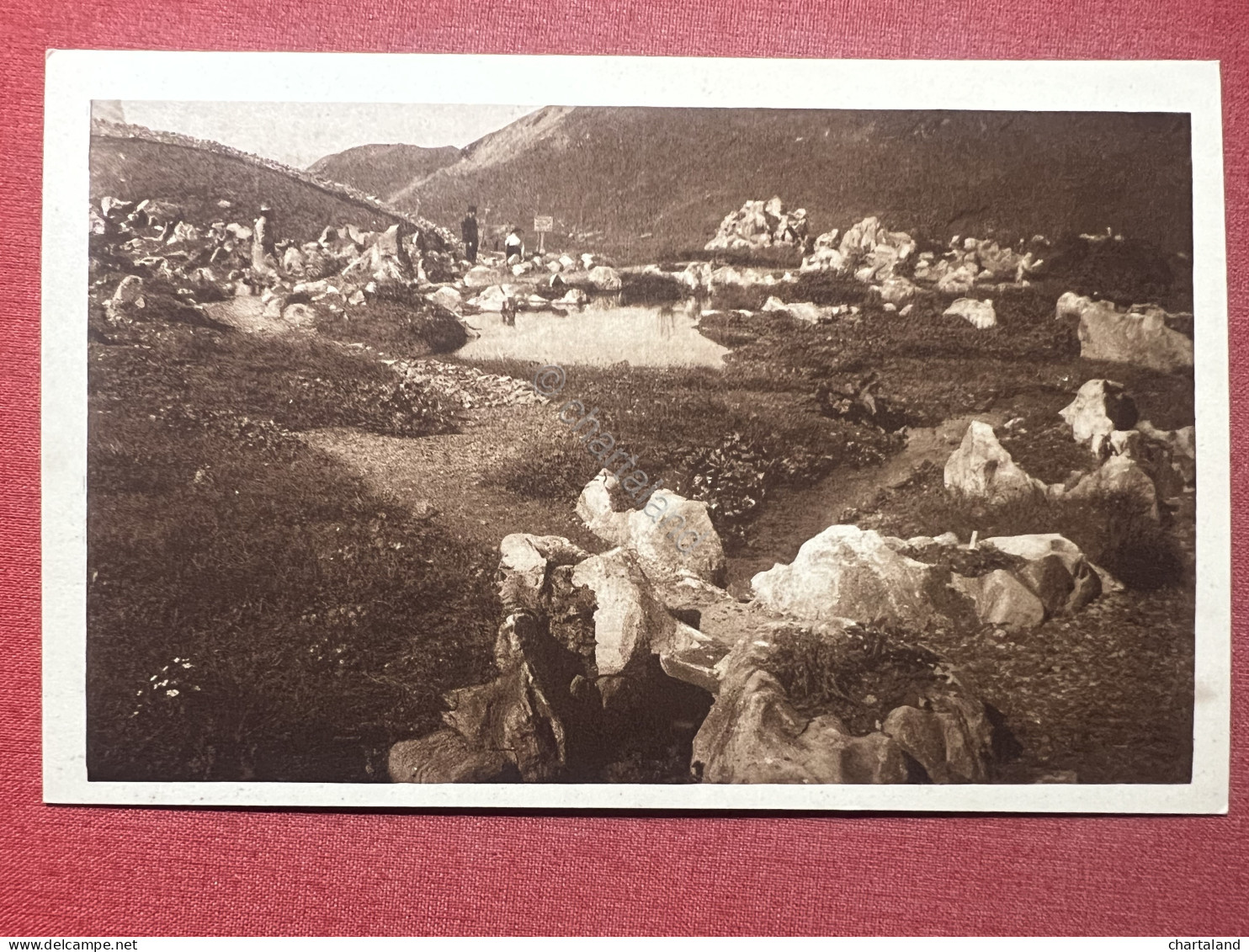 Cartolina - Piccolo San Bernardo - La Chanousia Giardino Alpino Dell'Ordine 1920 - Autres & Non Classés