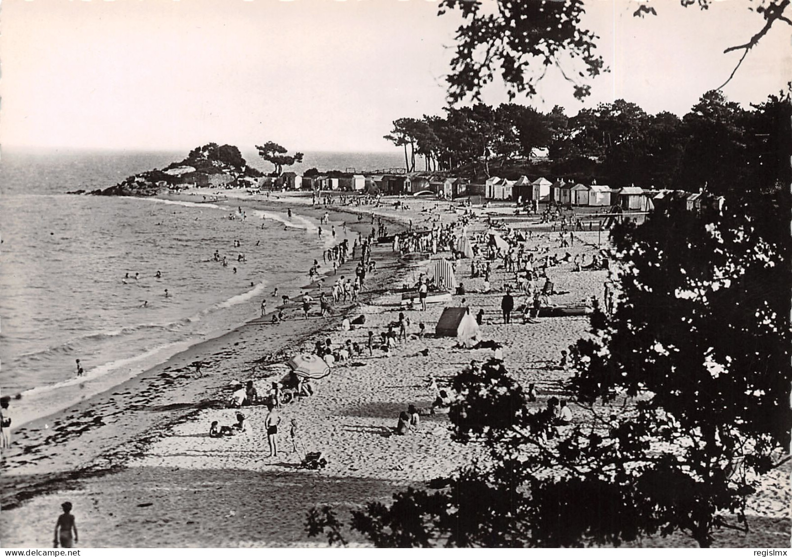 85-NOIRMOUTIER-N°T2671-D/0365 - Noirmoutier