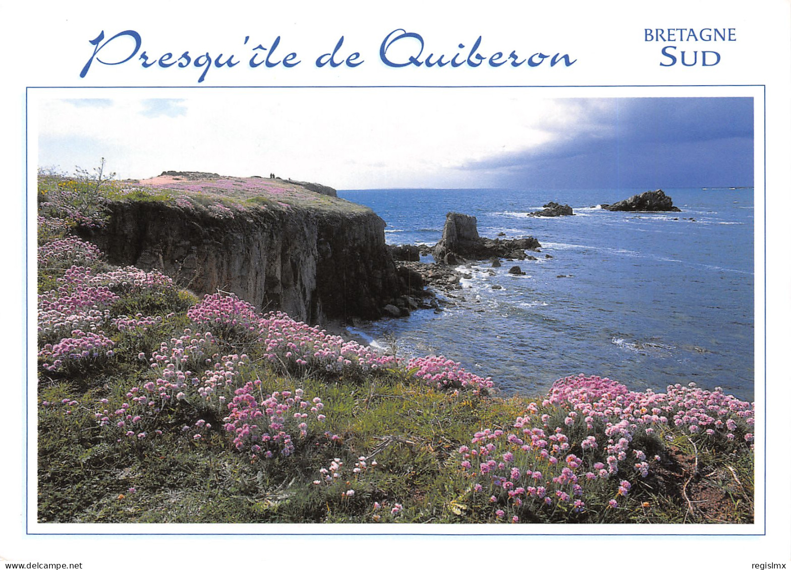 56-QUIBERON-N°T2671-C/0371 - Quiberon