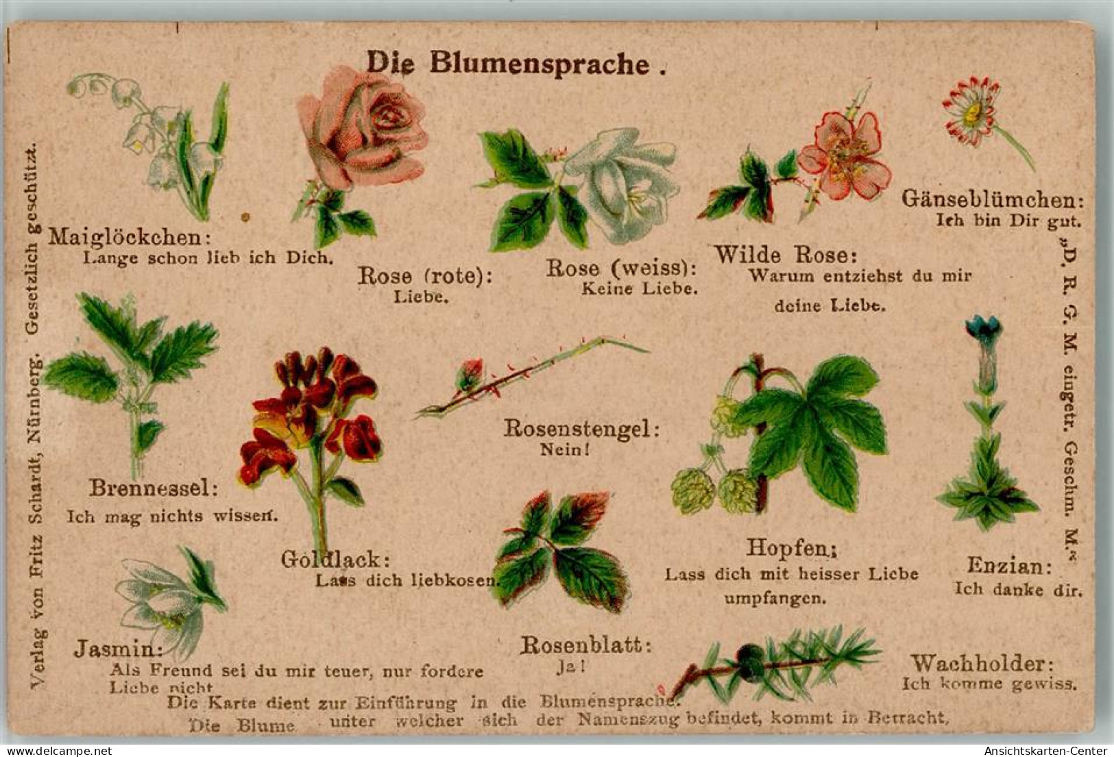 13007611 - Blumensprache Ca 1905 AK - Flowers