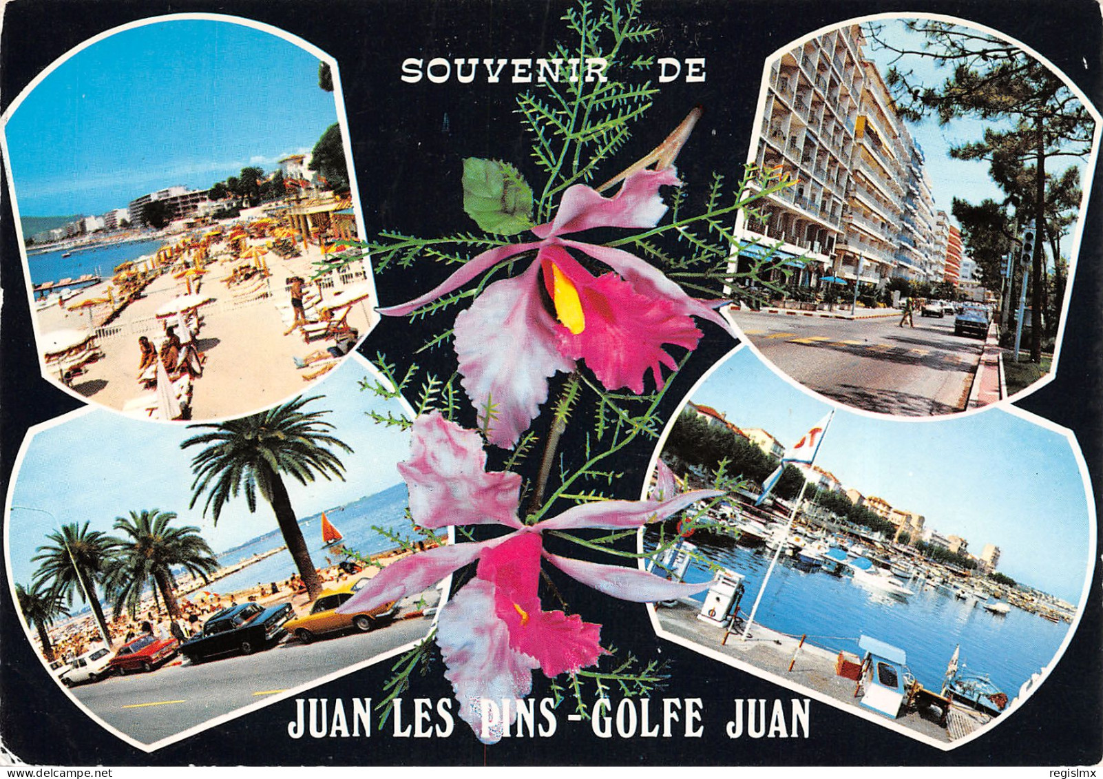 06-JUAN LES PINS-N°T2672-C/0269 - Juan-les-Pins