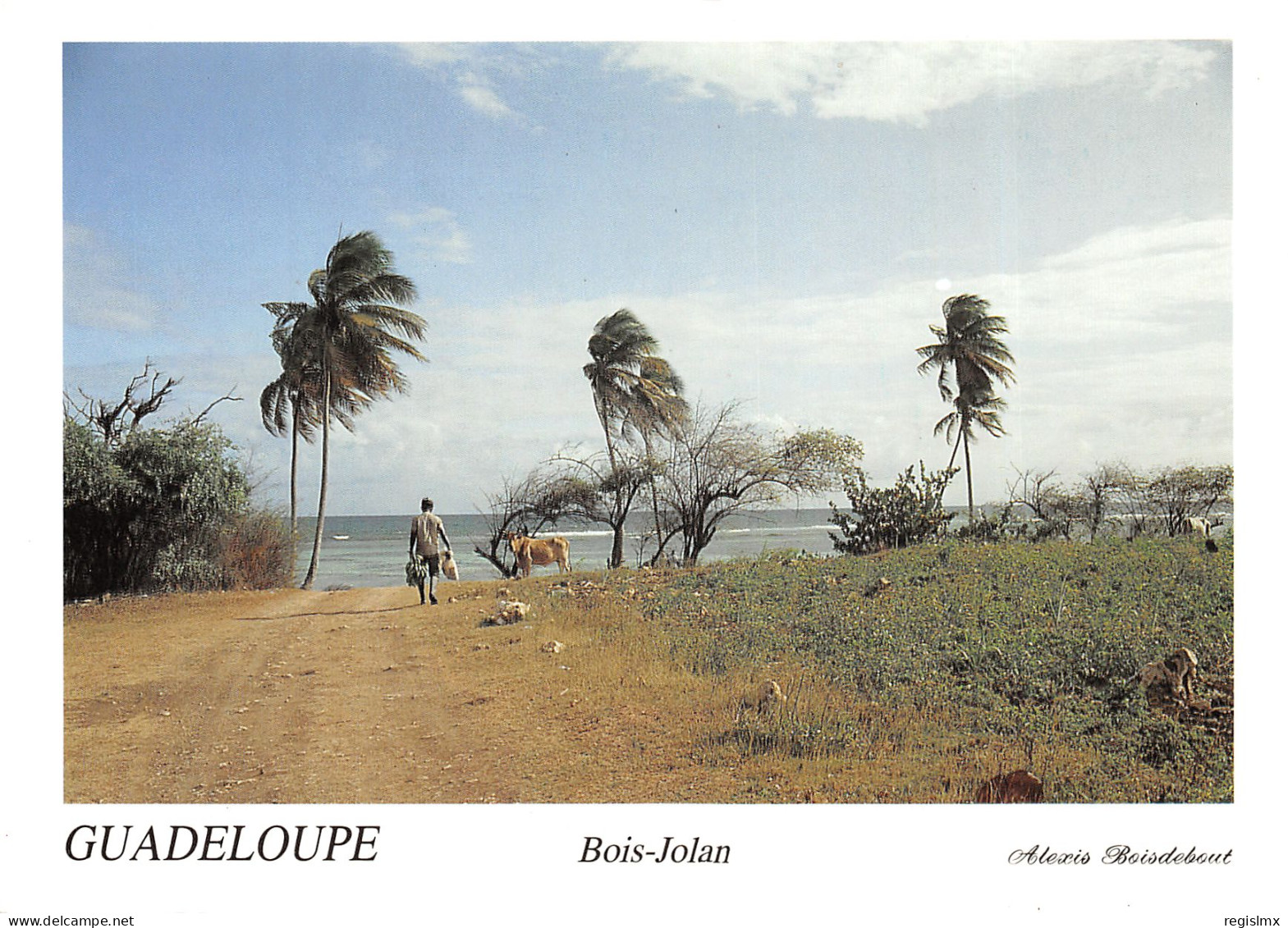 971-GUADELOUPE-N°T2672-B/0375 - Autres & Non Classés