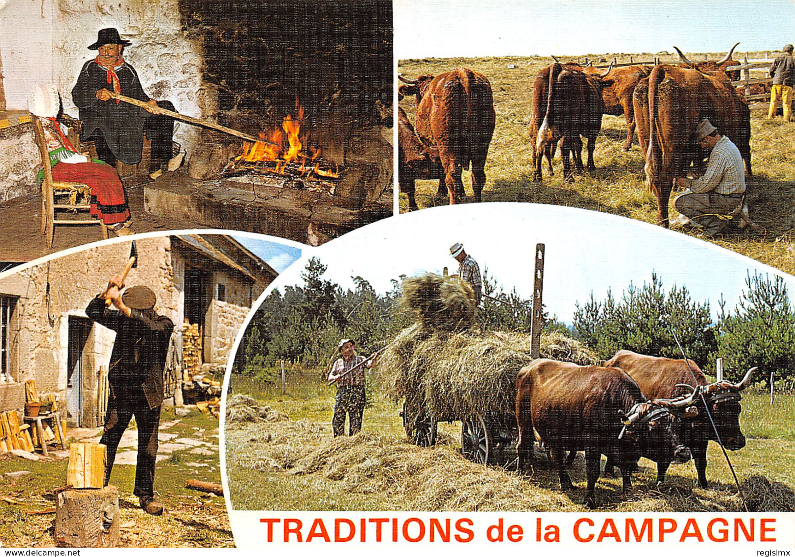 15-TRADITIONS DE LA CAMPAGNE-N°T2672-B/0053 - Autres & Non Classés