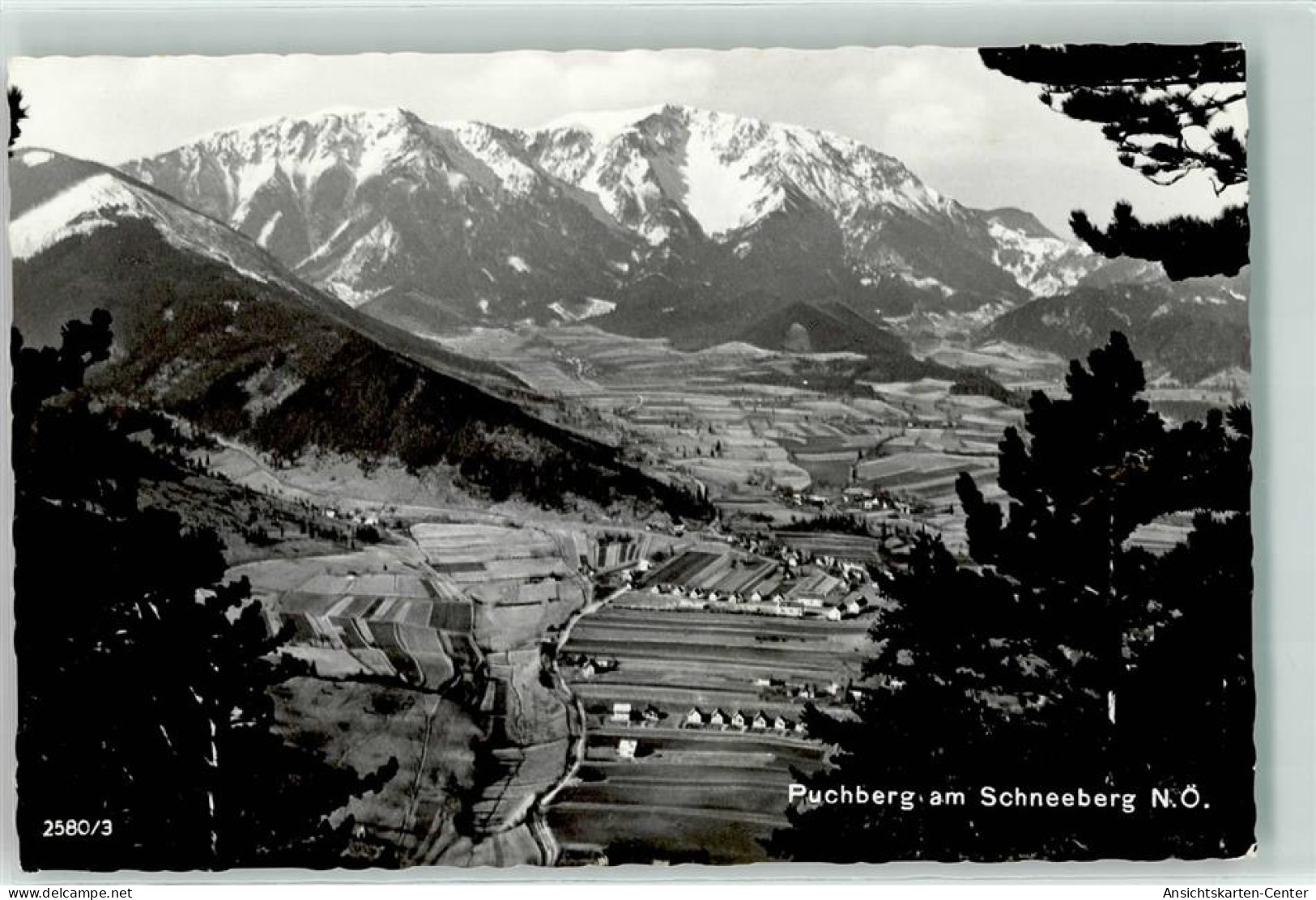 39339111 - Puchberg Am Schneeberg - Other & Unclassified