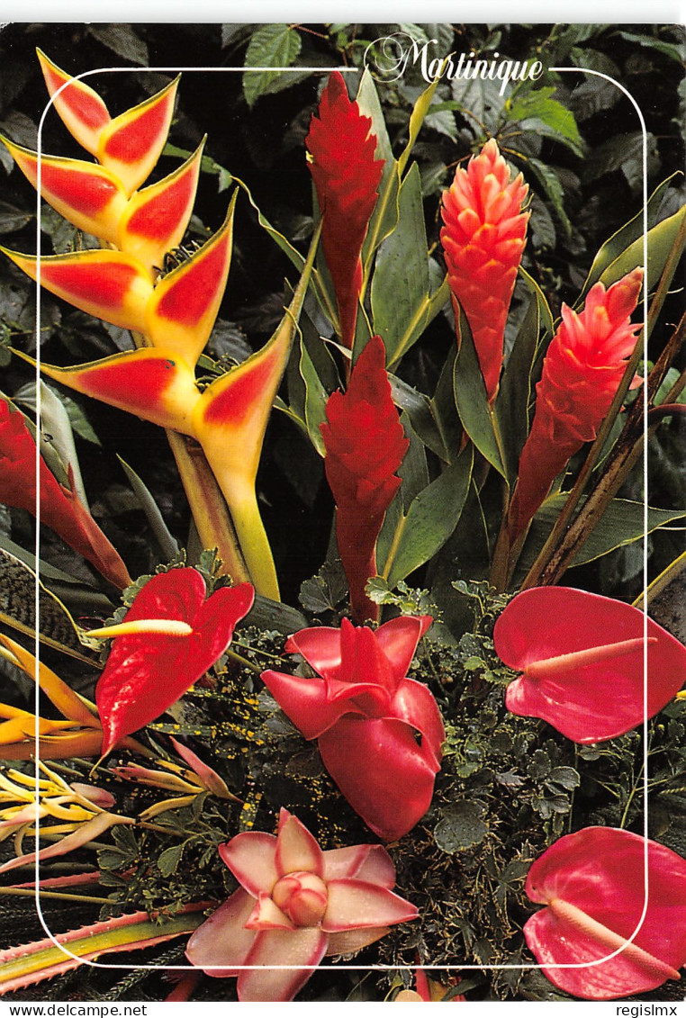 972-MARTINIQUE BOUQUET TROPICAL-N°T2673-A/0191 - Sonstige & Ohne Zuordnung