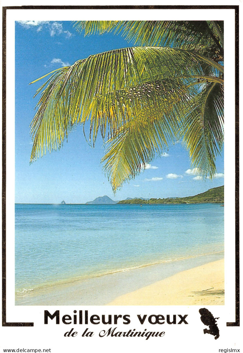 972-MARTINIQUE-N°T2673-A/0103 - Other & Unclassified