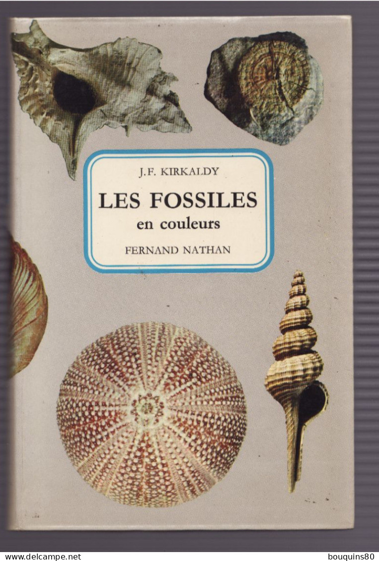 LES FOSSILES De J.F. KIRKALDY 1975 En Couleurs éditions Fernand Nathan - Wissenschaft