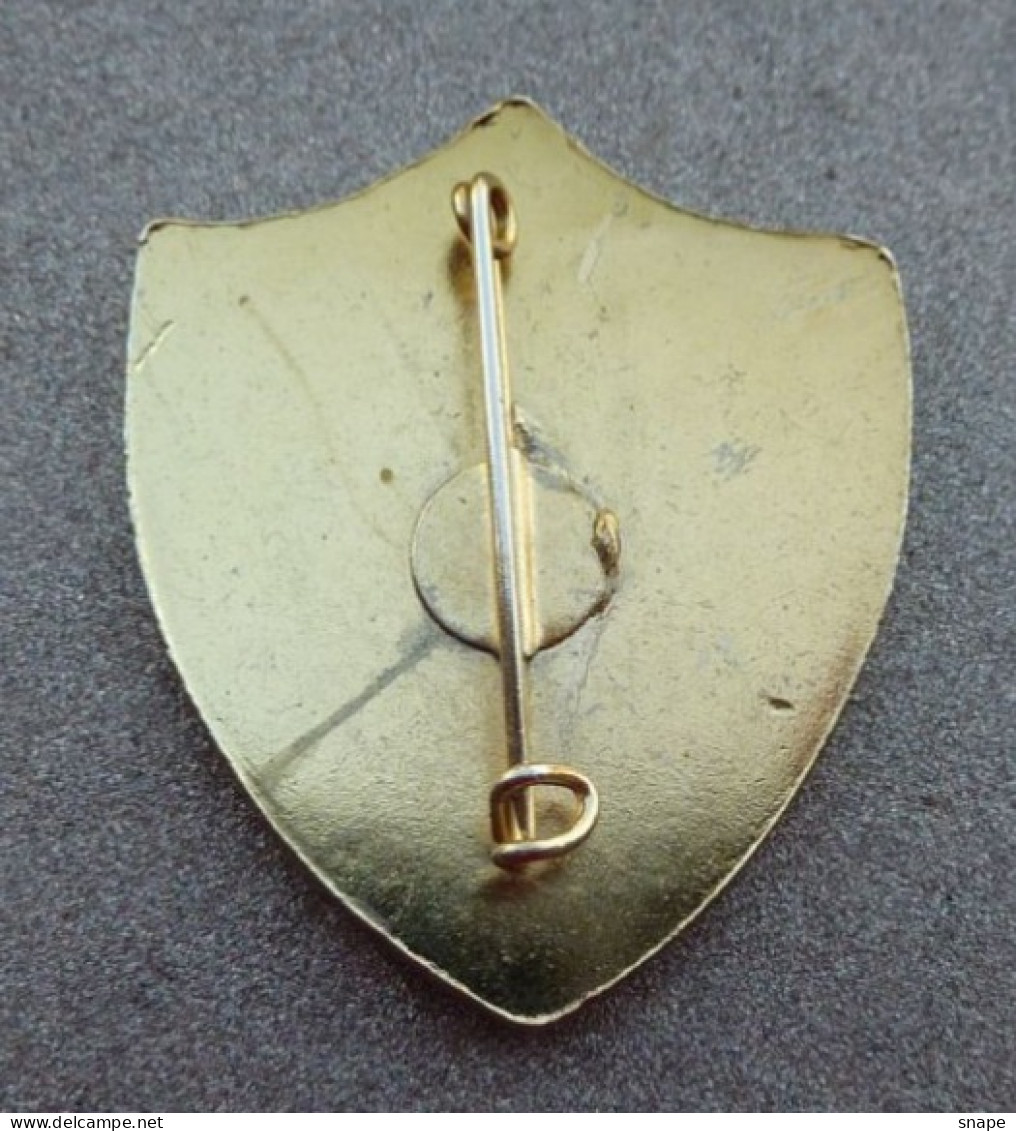 DISTINTIVO Vetrificato A Spilla S.S.C.A.M - Esercito Italiano - Italian Army Pinned Badge - Used (286) - Army