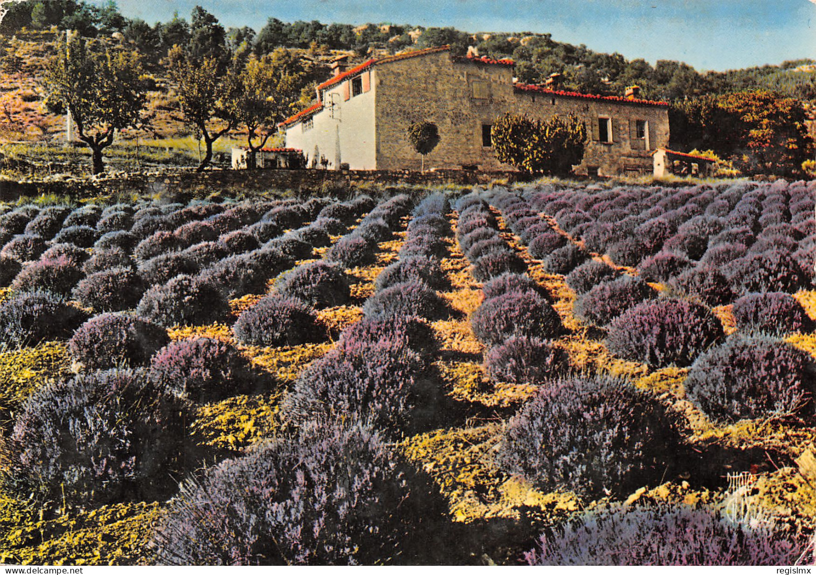 04-ALPES DE HAUTE PROVENCE-N°T2675-B/0387 - Autres & Non Classés