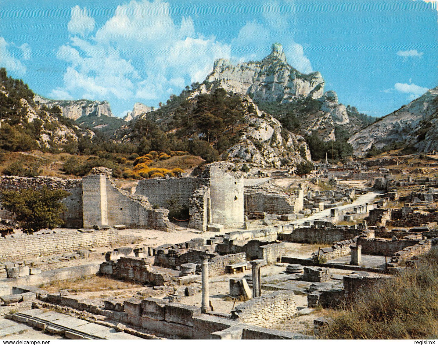 13-SAINT REMY DE PROVENCE-N°T2676-D/0103 - Saint-Remy-de-Provence