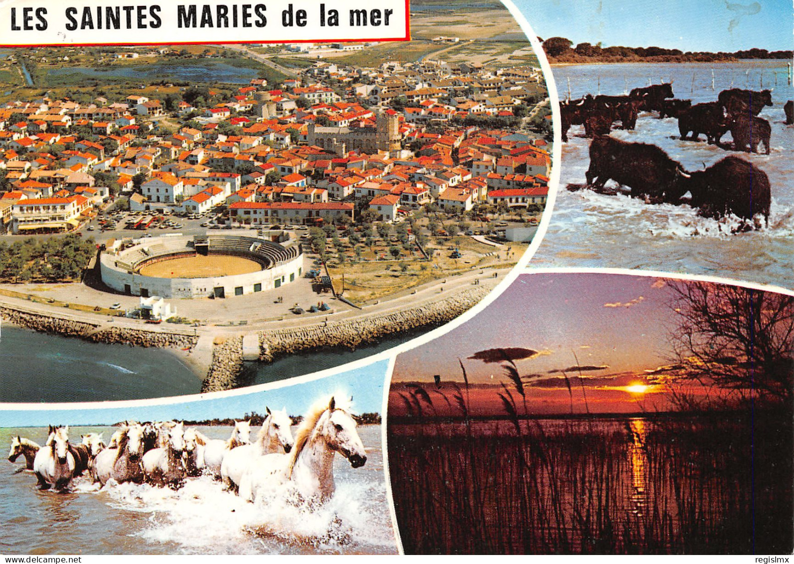13-LES SAINTES MARIES DE LA MER-N°T2677-B/0321 - Saintes Maries De La Mer