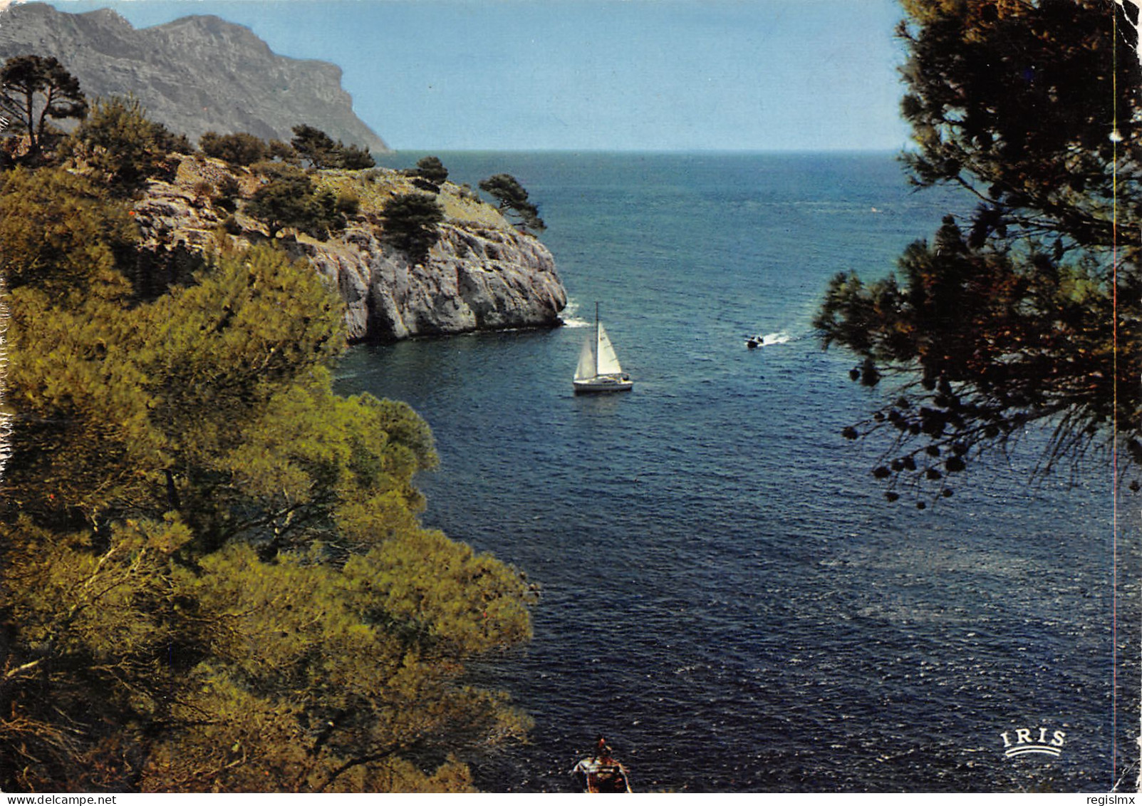 13-CASSIS SUR MER-N°T2677-B/0081 - Cassis