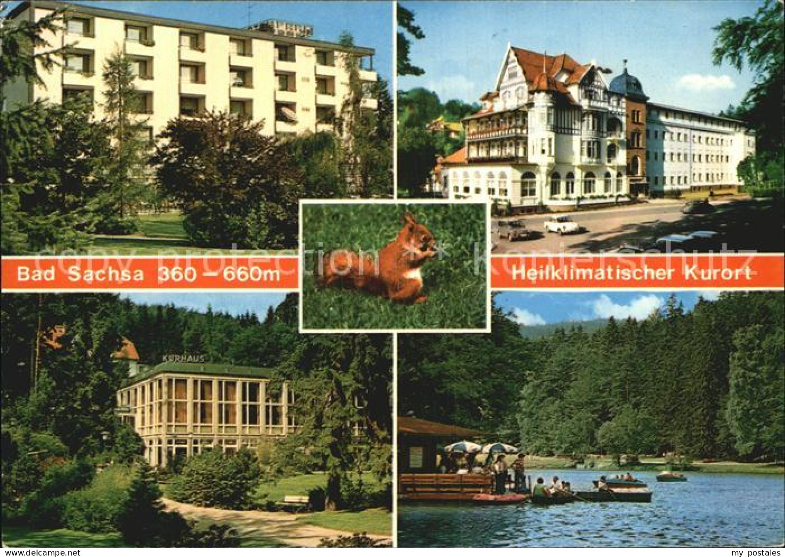 72526656 Bad Sachsa Harz Kurhaus Hotel Schmelzsee Bootfahren Eichhoernchen Heilk - Bad Sachsa