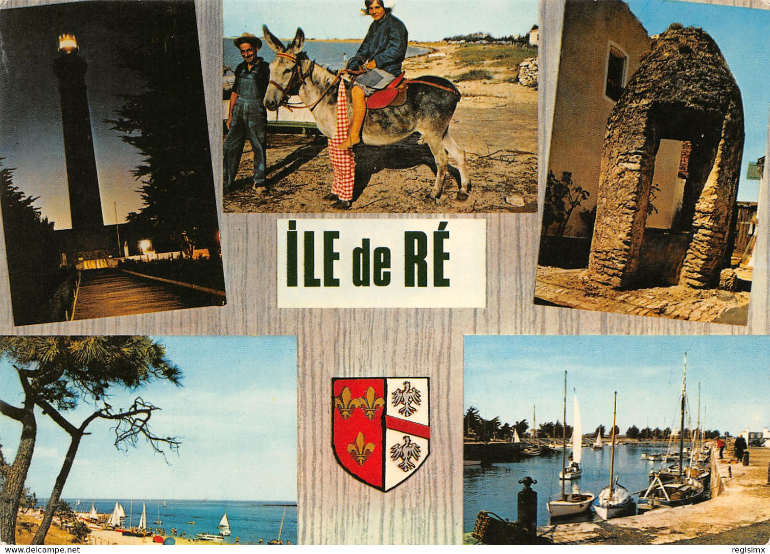 17-ILE DE RE FOLKLORE ANE EN CULOTTE-N°T2678-A/0261 - Ile De Ré