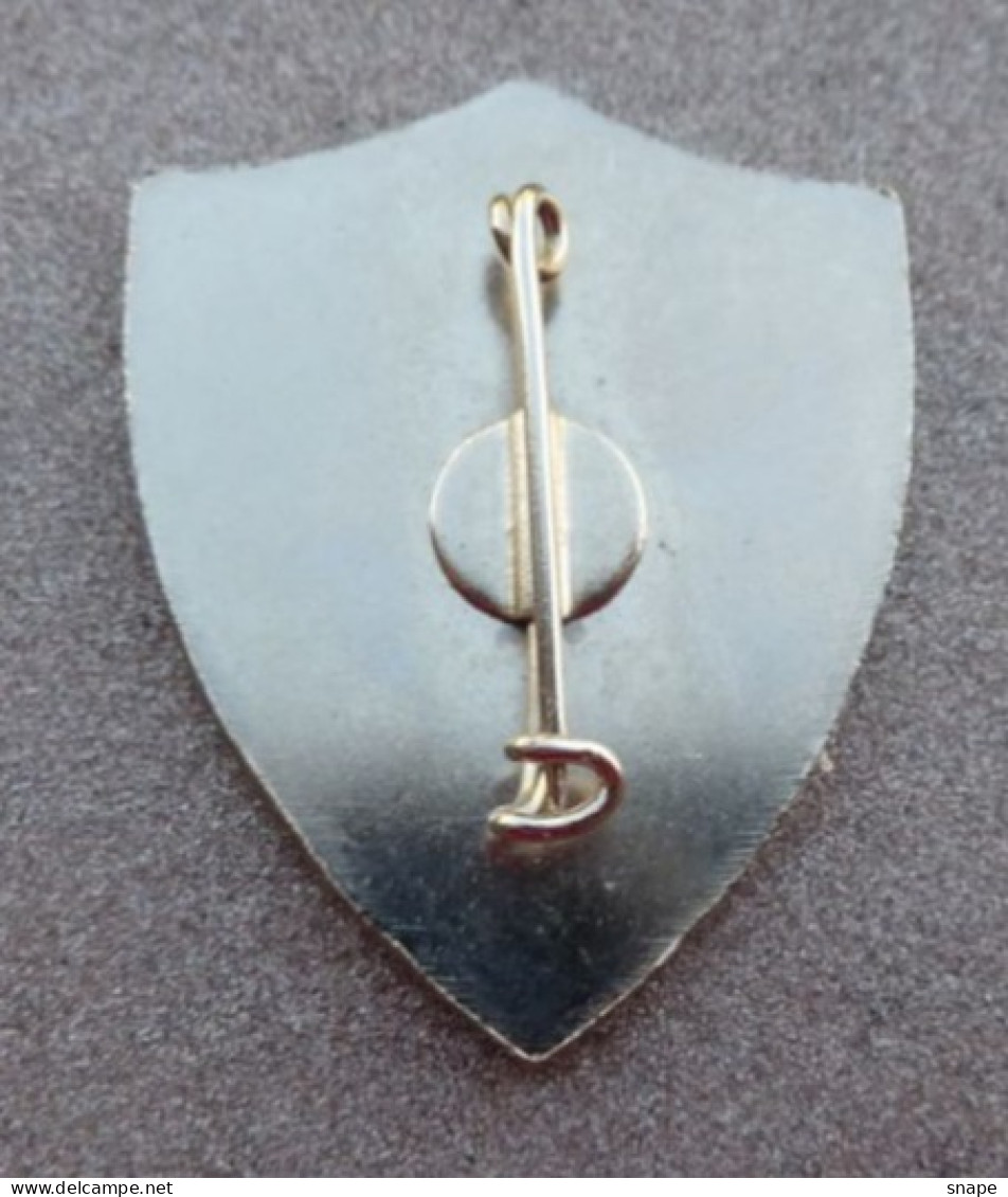 DISTINTIVO Istruttore Militare Di Educazione Fisica - Esercito Italiano - Italian Army Pinned Badge - Used (286) - Armée De Terre