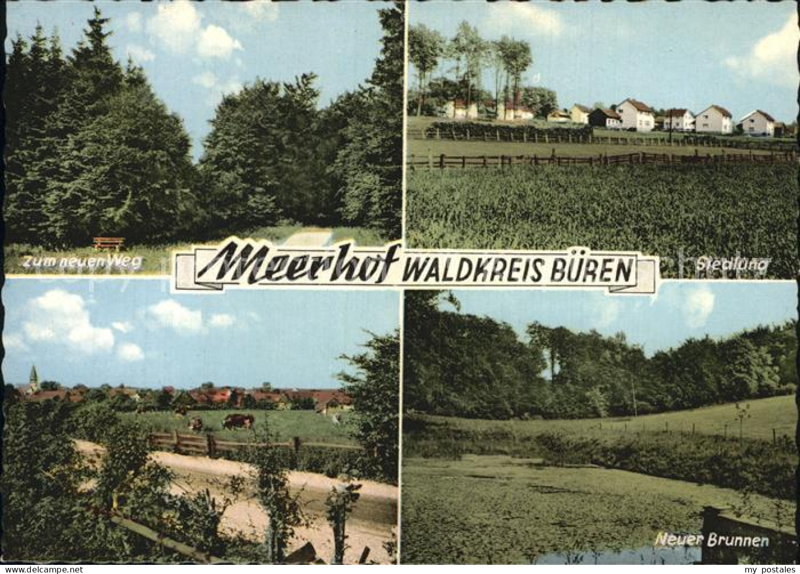 72526571 Meerhof Zum Neuen Weg Siedlung Neuer Brunnen Meerhof - Autres & Non Classés