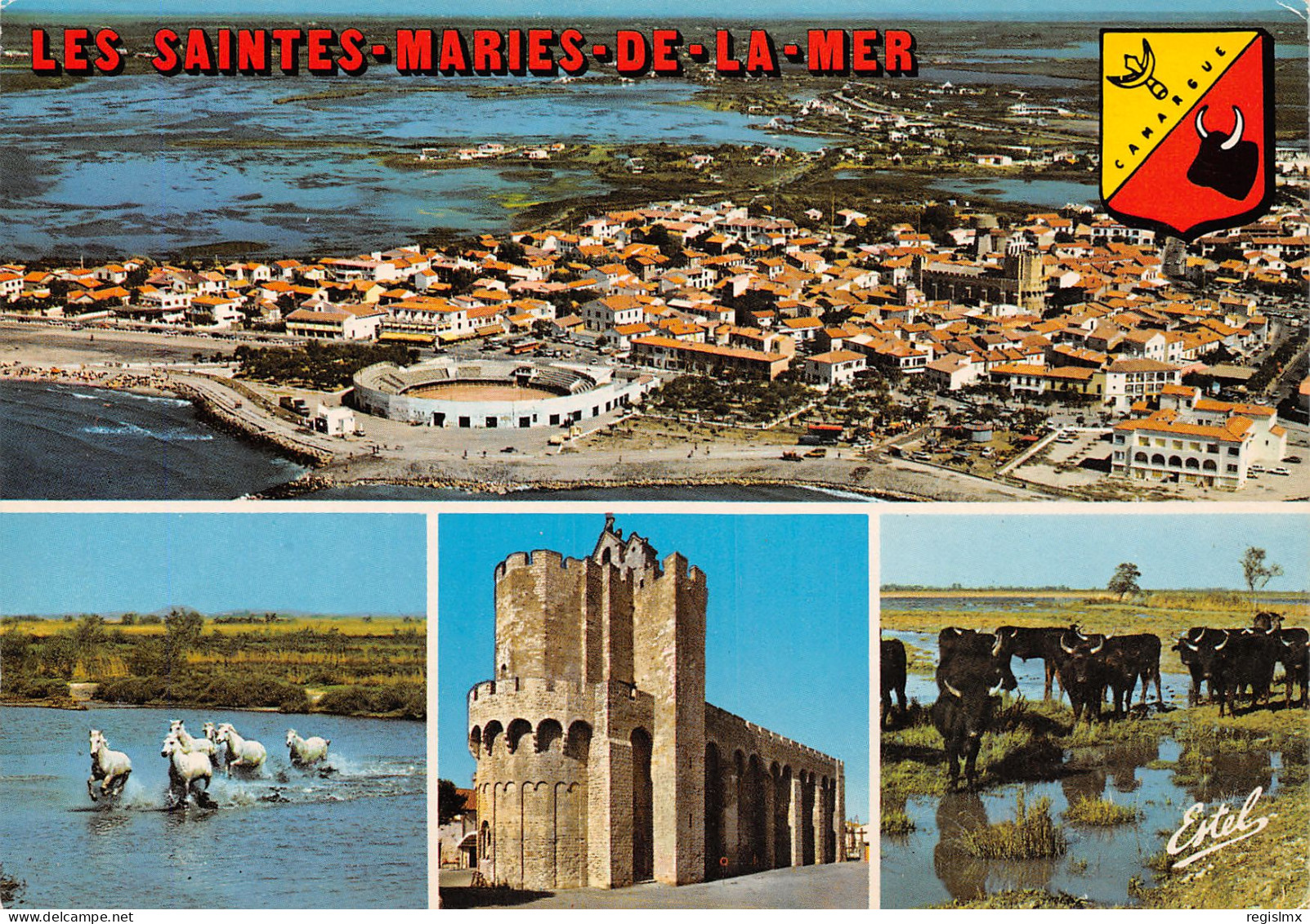 13-LES SAINTES MARIES DE LA MER-N°T2679-B/0053 - Saintes Maries De La Mer