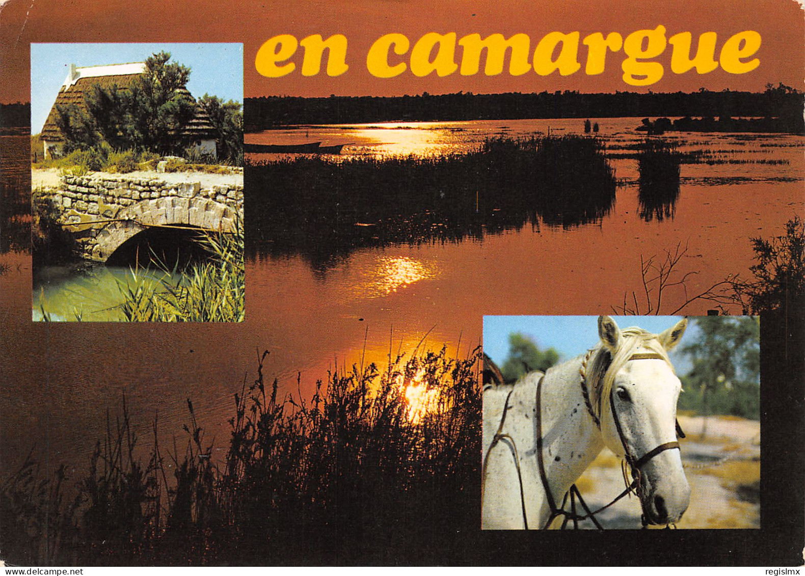 13-CAMARGUE-N°T2679-A/0341 - Andere & Zonder Classificatie