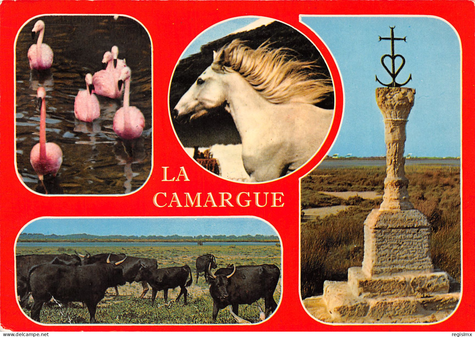 13-CAMARGUE-N°T2679-A/0335 - Other & Unclassified