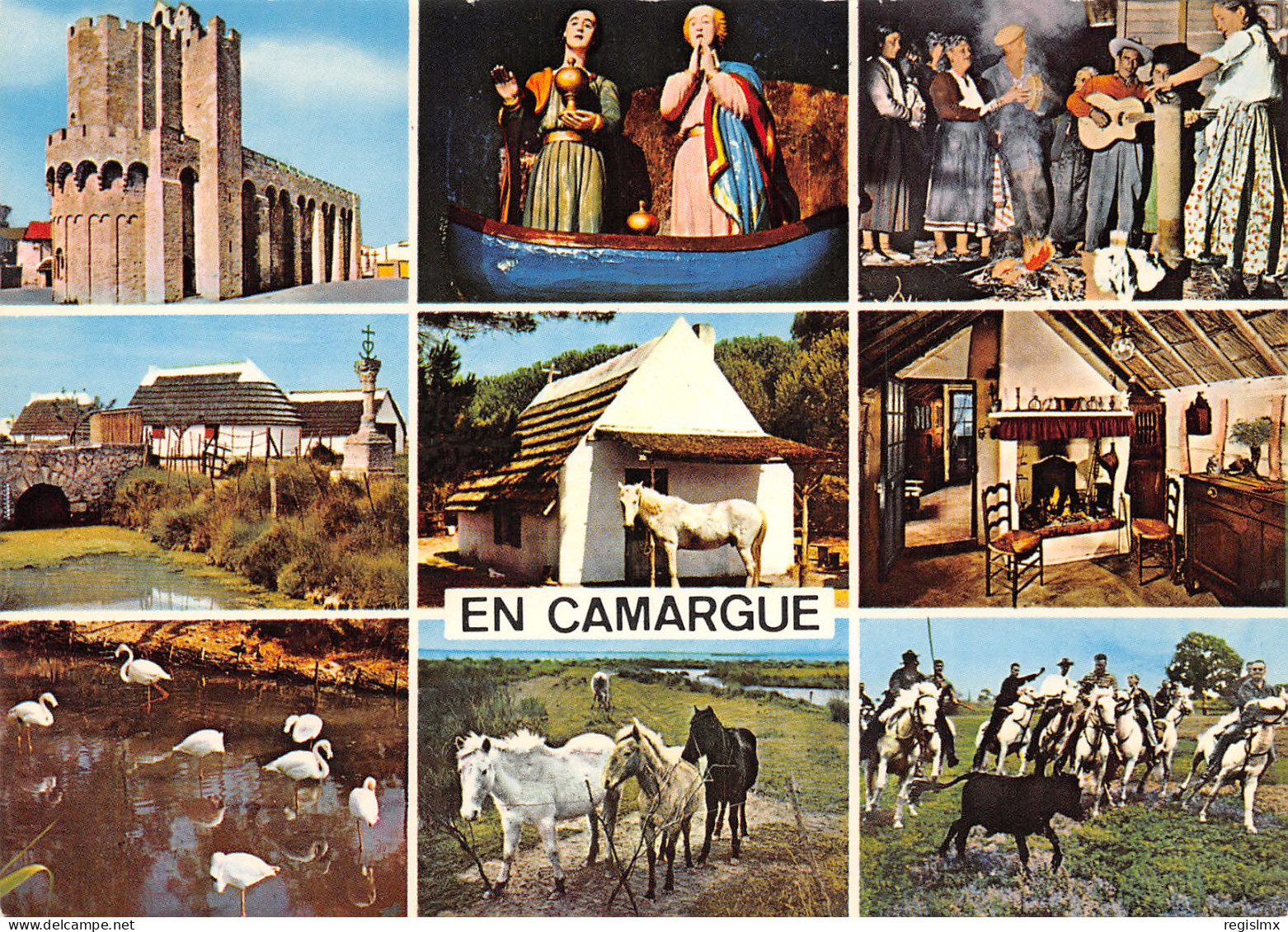 13-CAMARGUE FOLKLORE GARDIANS-N°T2679-A/0313 - Other & Unclassified