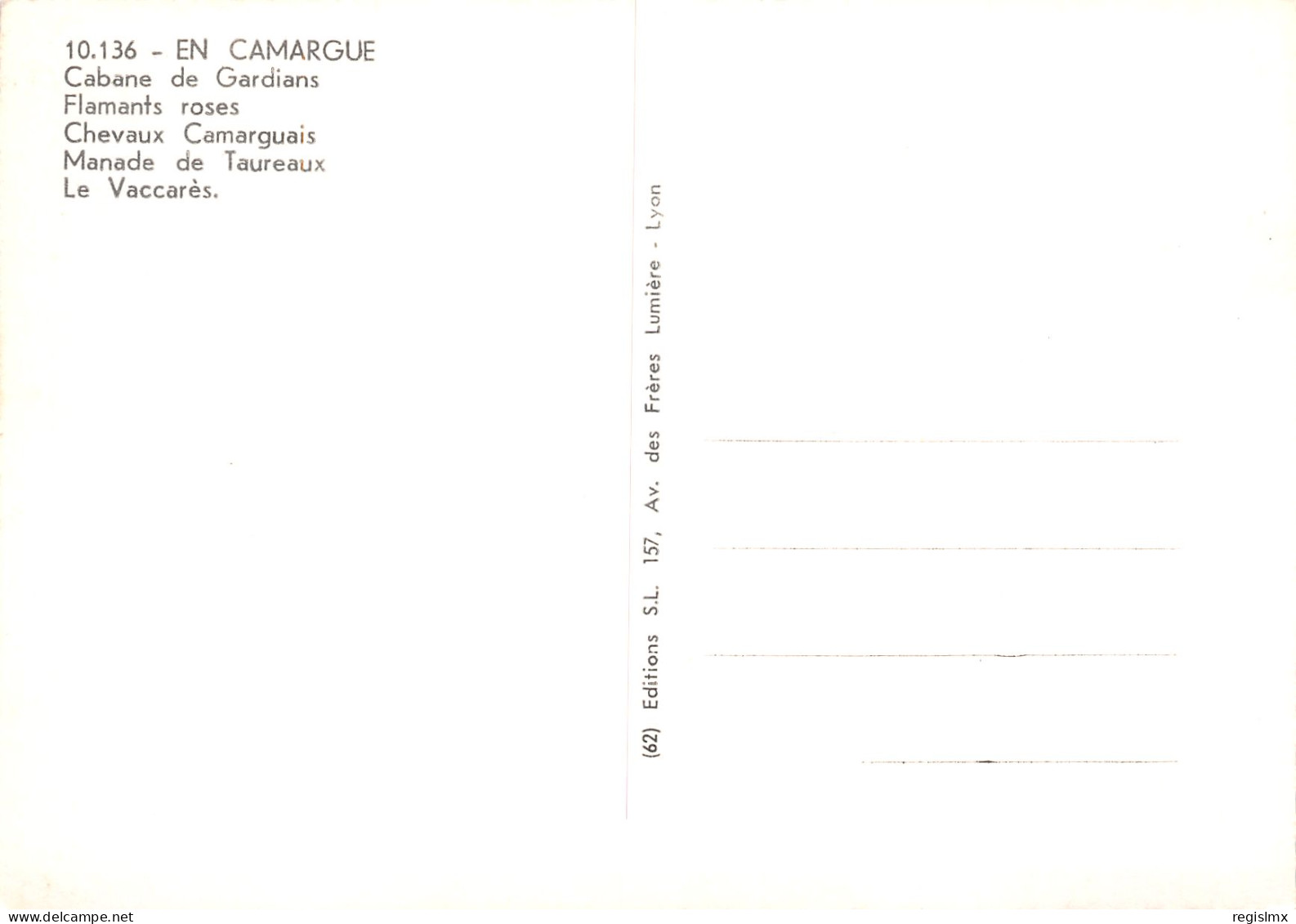 13-CAMARGUE FOLKLORE GARDIANS-N°T2679-A/0299 - Andere & Zonder Classificatie