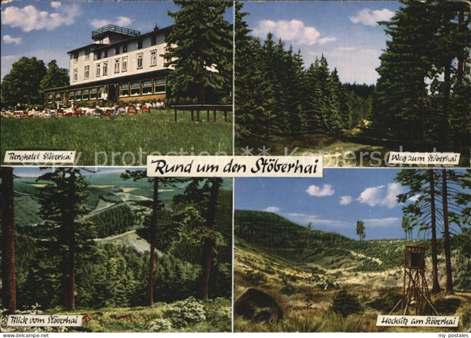 72525927 Wieda Berghotel Wanderweg Waldpartie Wieda - Other & Unclassified