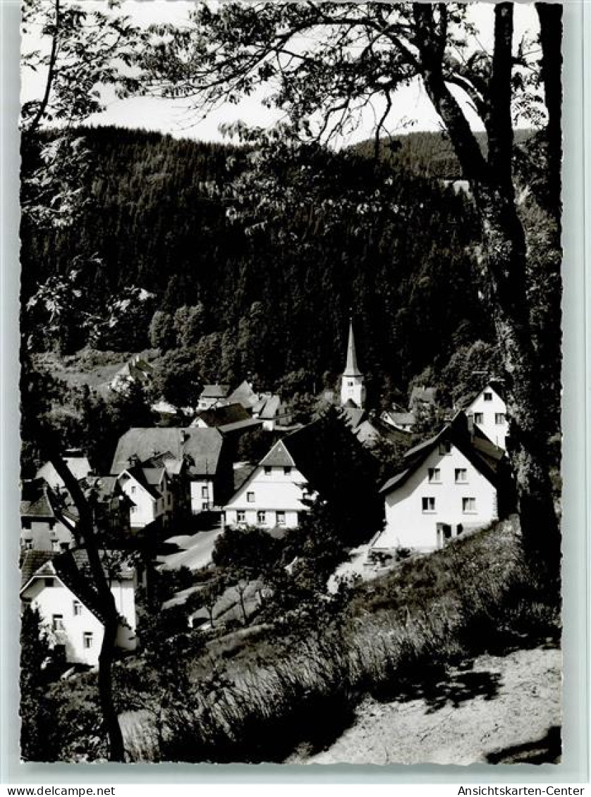 10061811 - Nussbach , Schwarzwaldbahn - Triberg
