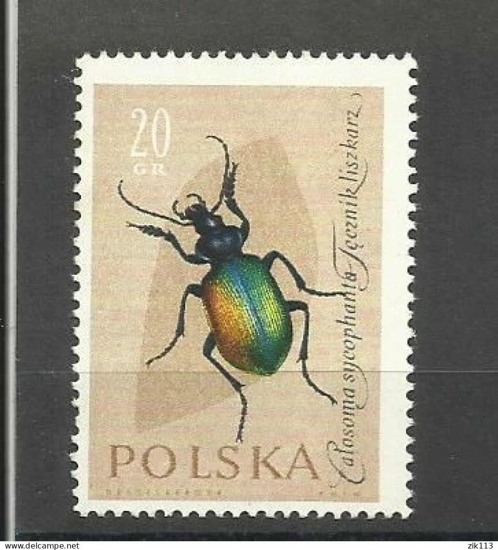 POLAND  1961 - INSECTS,  MNH - Ungebraucht