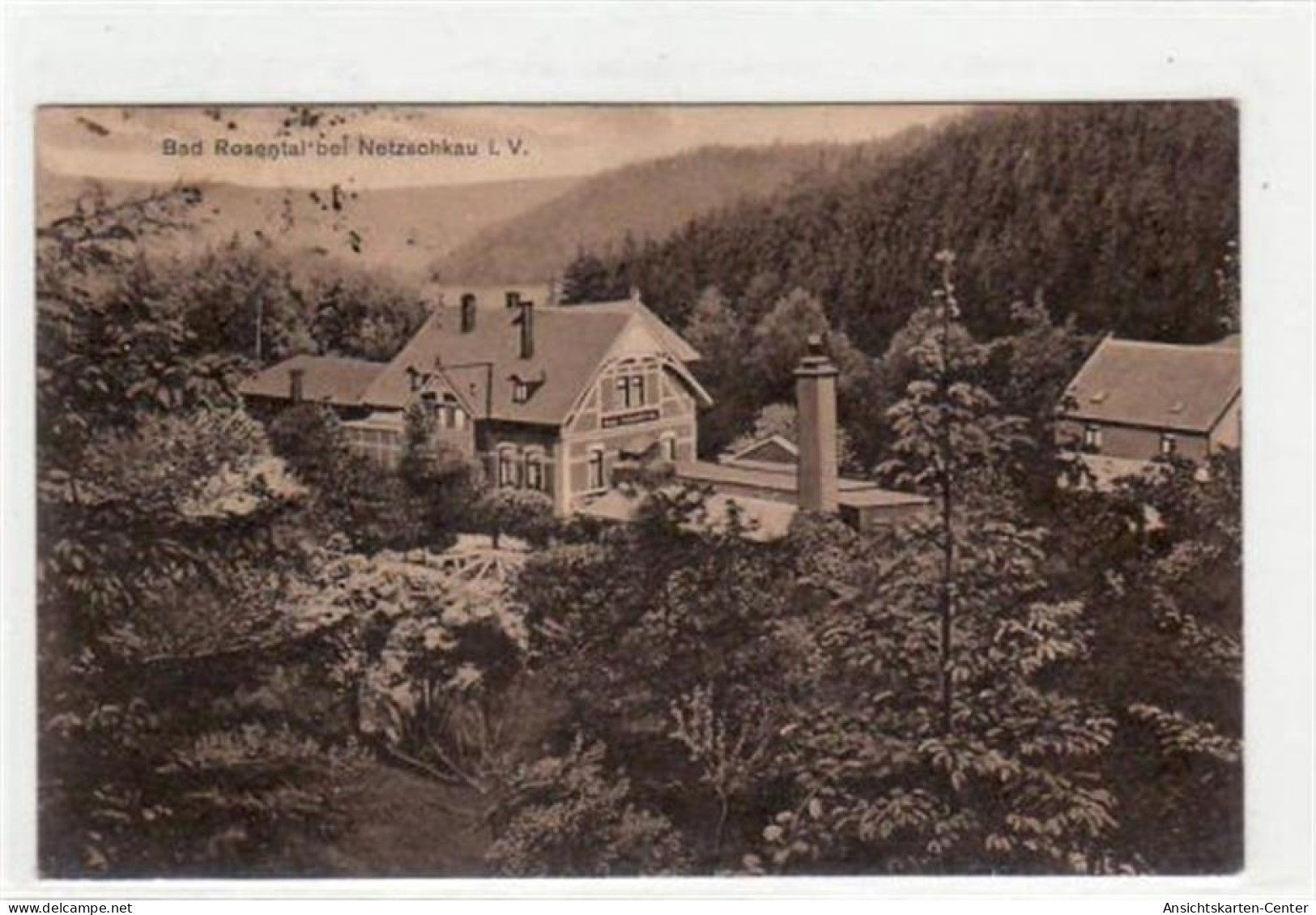 39039411 - Netzschkau Mit Bad Rosental Gelaufen Von 1923. Leichte Stempelspuren, Sonst Gut Erhalten - Andere & Zonder Classificatie