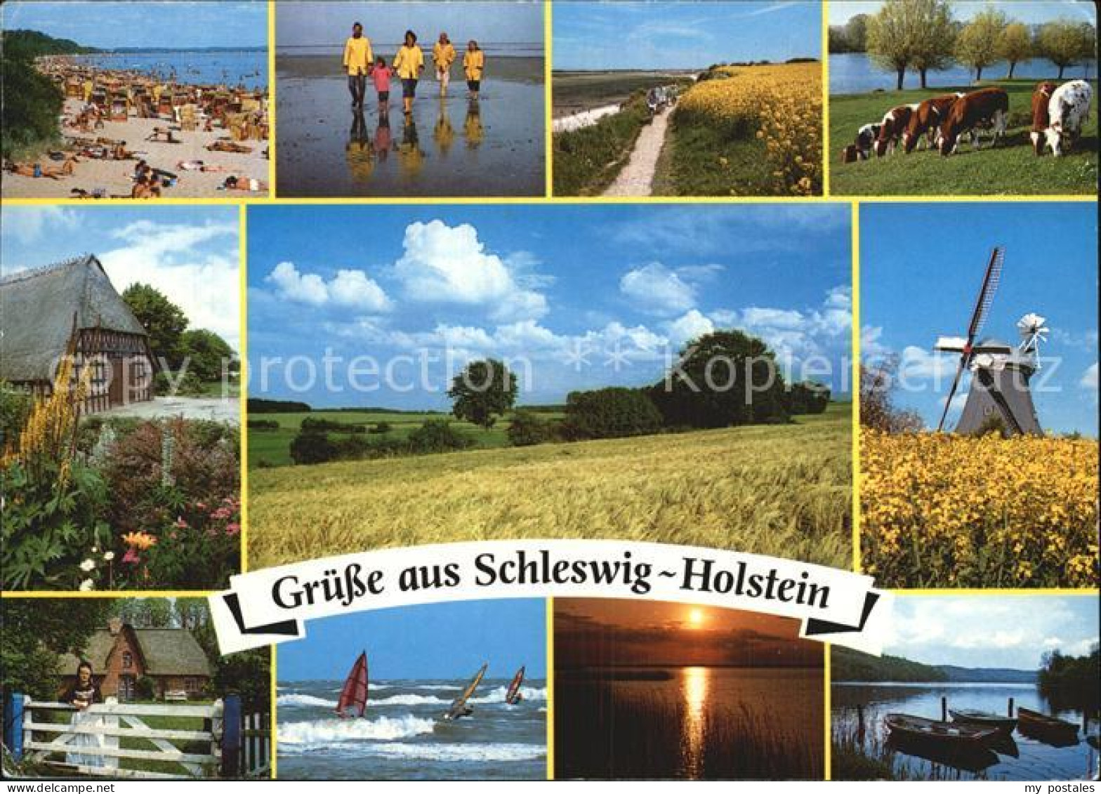 72525157 Schleswig Holstein Strand Wattwanderung Viehweide Bauernhaus Panorama W - Schleswig