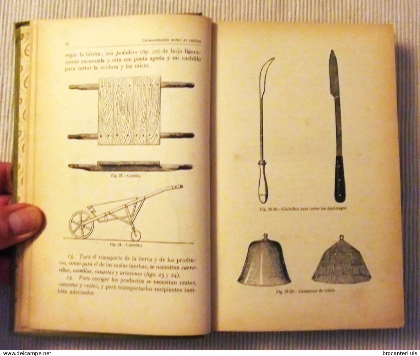MANUAL DE HORTICULTURA DeL Dr. D.TAMARO 1921 - Craft, Manual Arts
