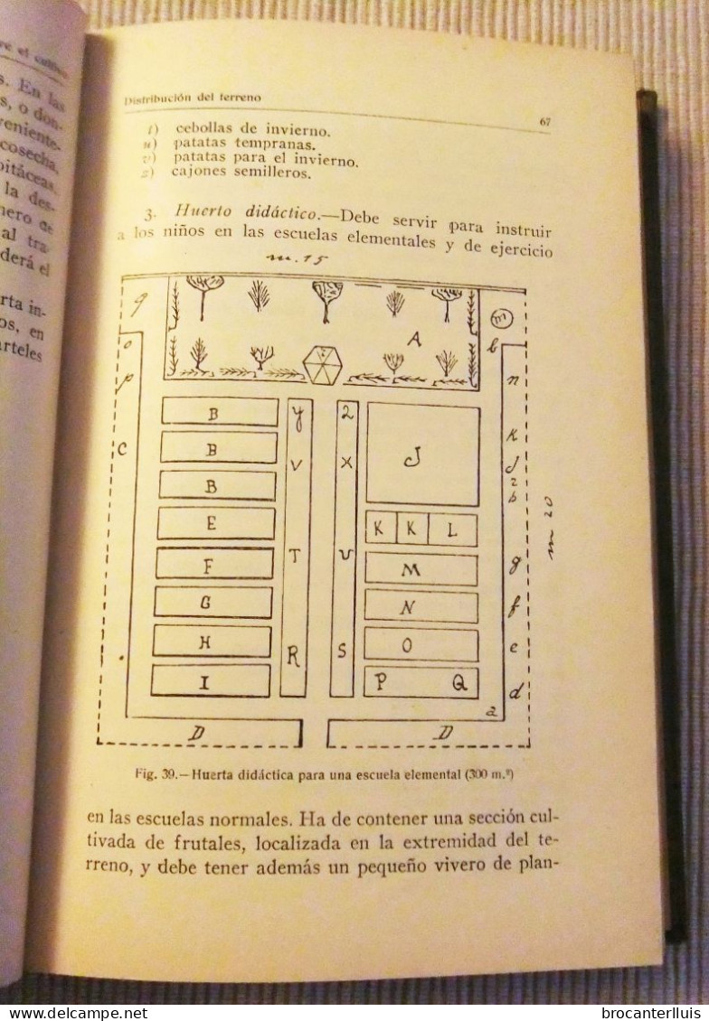 MANUAL DE HORTICULTURA DeL Dr. D.TAMARO 1921 - Craft, Manual Arts