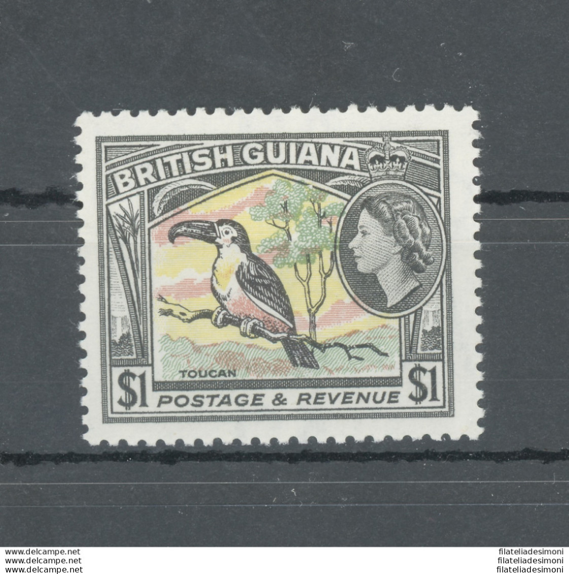 1954-63 British Guiana - Stanley Gibbons N. 344 - 1$ Pink Yellow Green And Black - Bird - Pappagallo - Parrot - MNH** - Autres & Non Classés