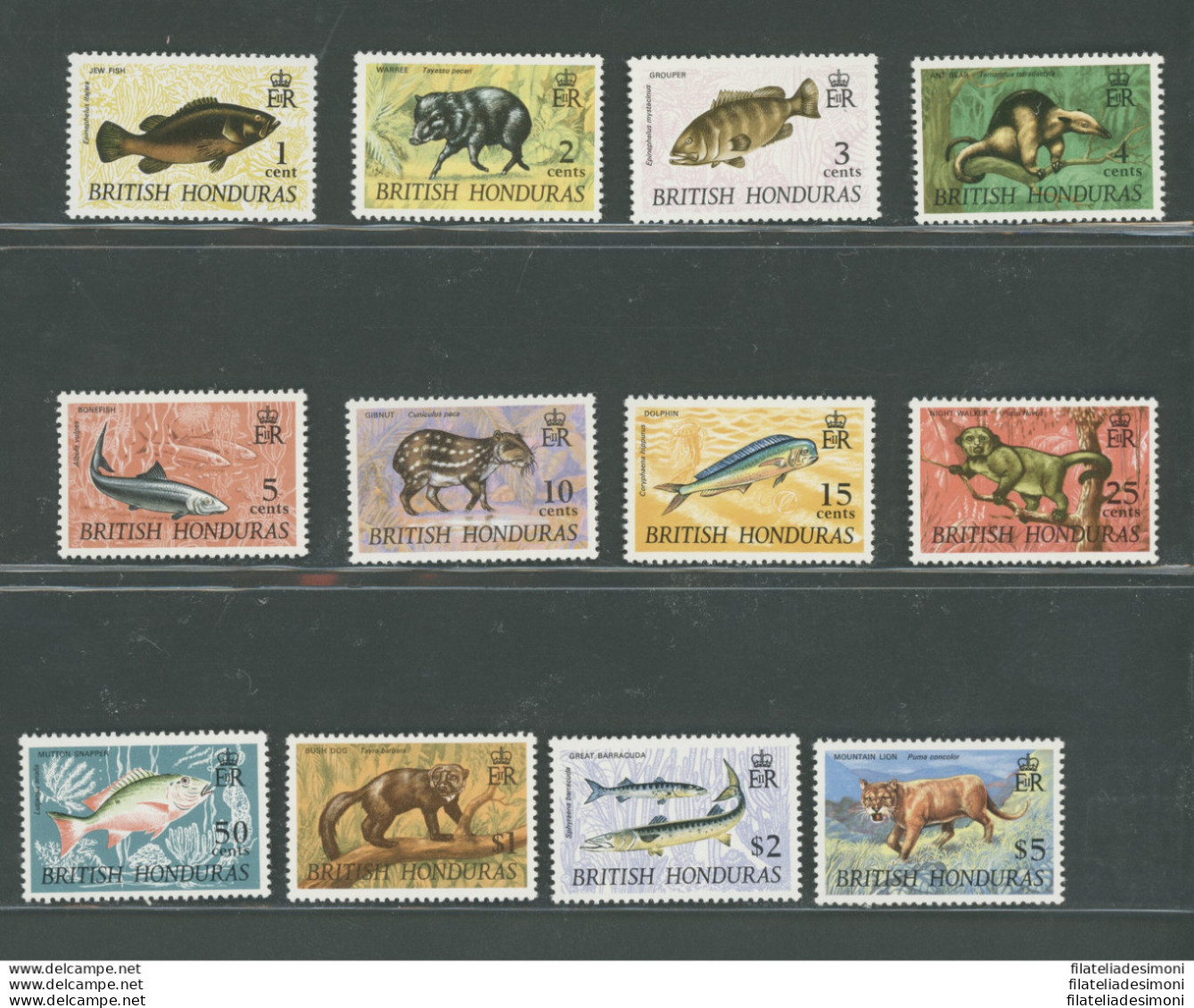 1968 British Honduras, Stanley Gibbons N. 256-67 - Serie Completa 12 Valori - Vita Selvaggia - MNH** - Sonstige & Ohne Zuordnung