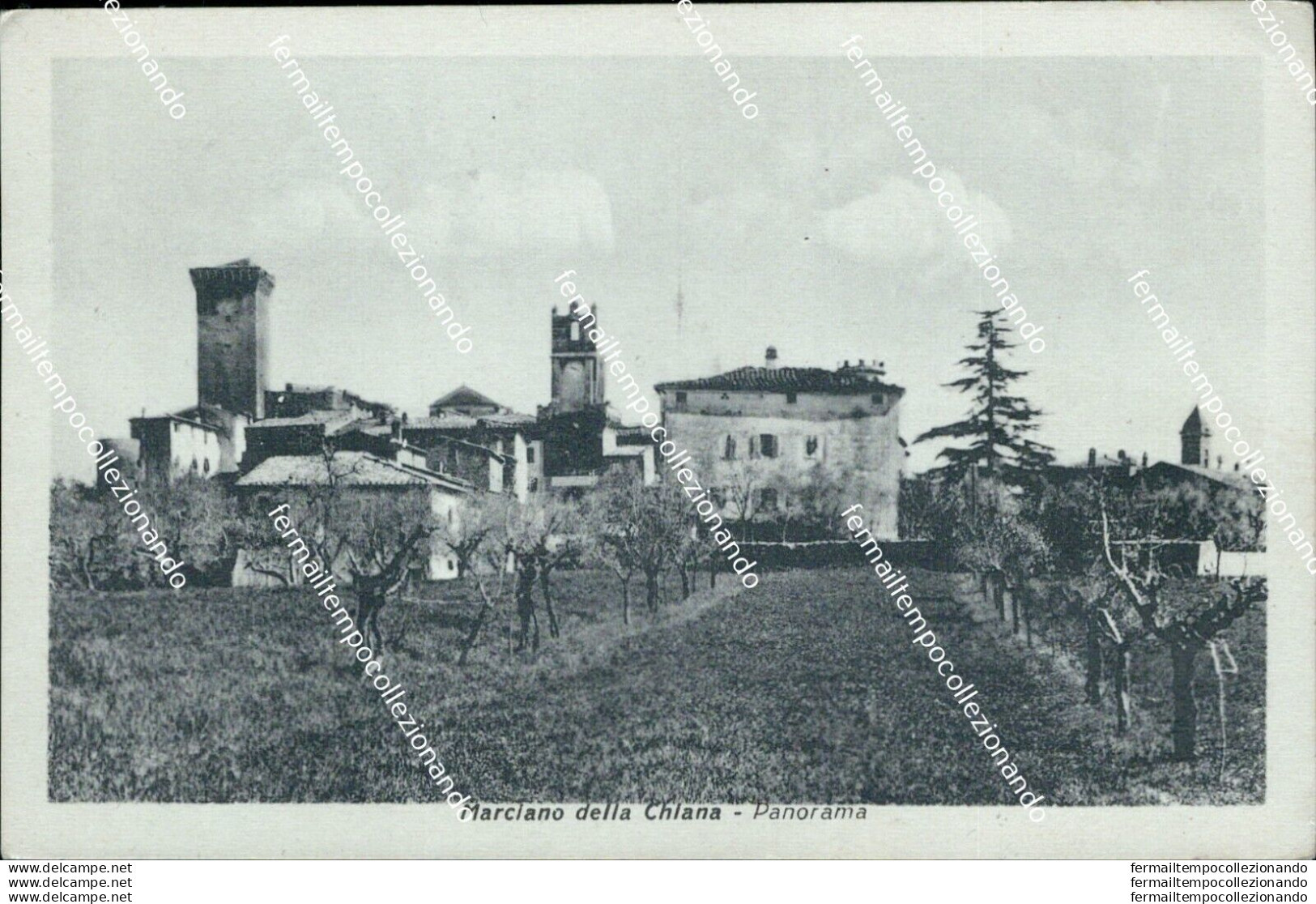 An587 Cartolina Morciano Della Chiana Panorama Provincia Di Arezzo - Arezzo