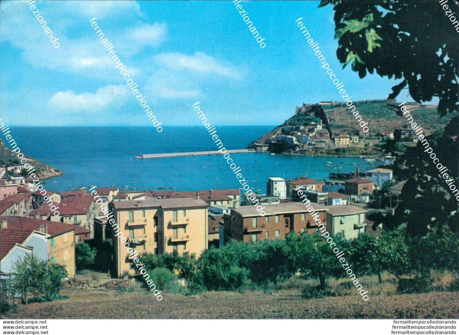 Br386 Cartolina Porto Ercole Panorama  Provincia Di  Grosseto Toscana - Grosseto