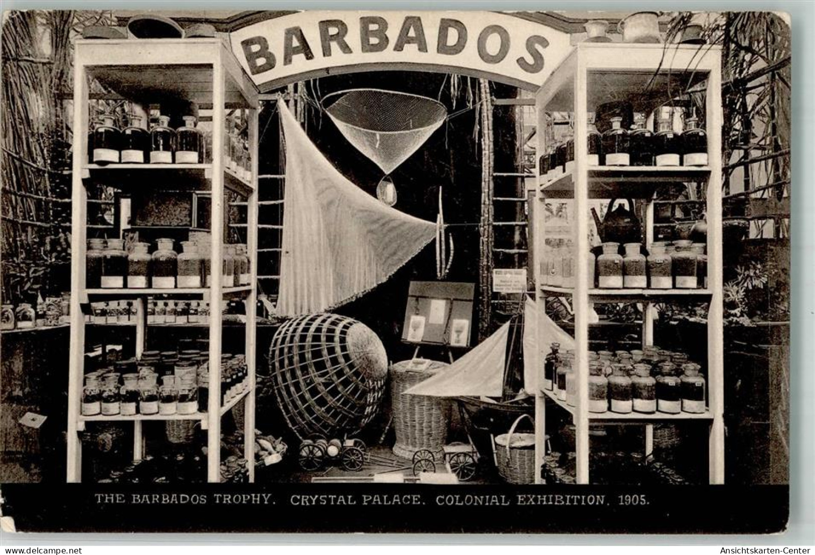 13511711 - Barbados - Barbades