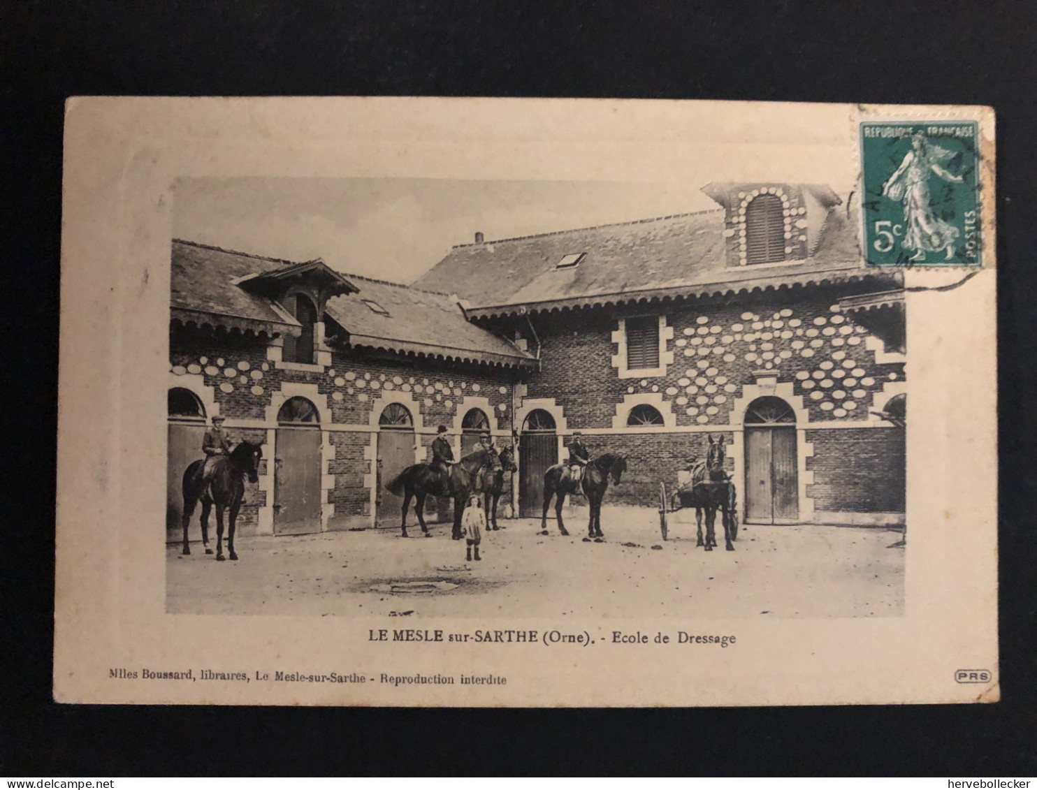 Le Mesle Sur Sarthe - École De Dressage - 61 - Le Mêle-sur-Sarthe