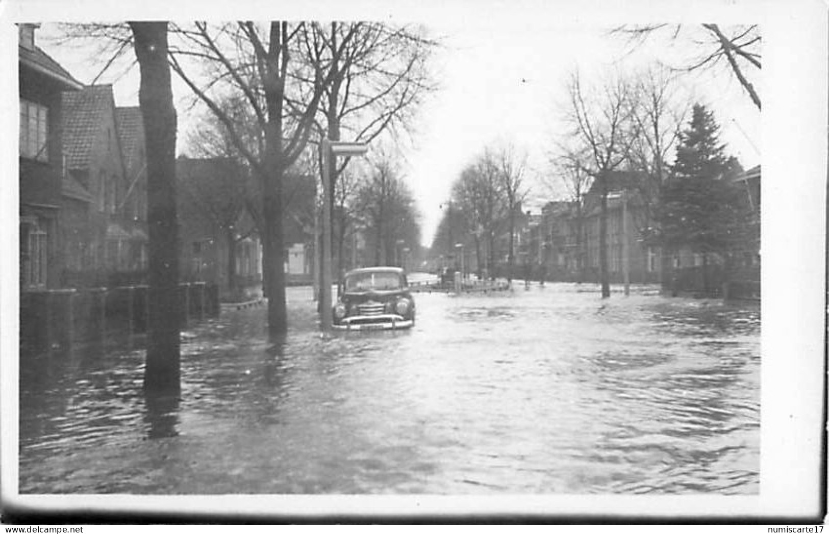 2 Cpsm Carte Photo ZWIJNDRECHT 1953 De Watersnoodramp - Canon Van Nederland - Burgemester De Bruïnelaan - Zwijndrecht