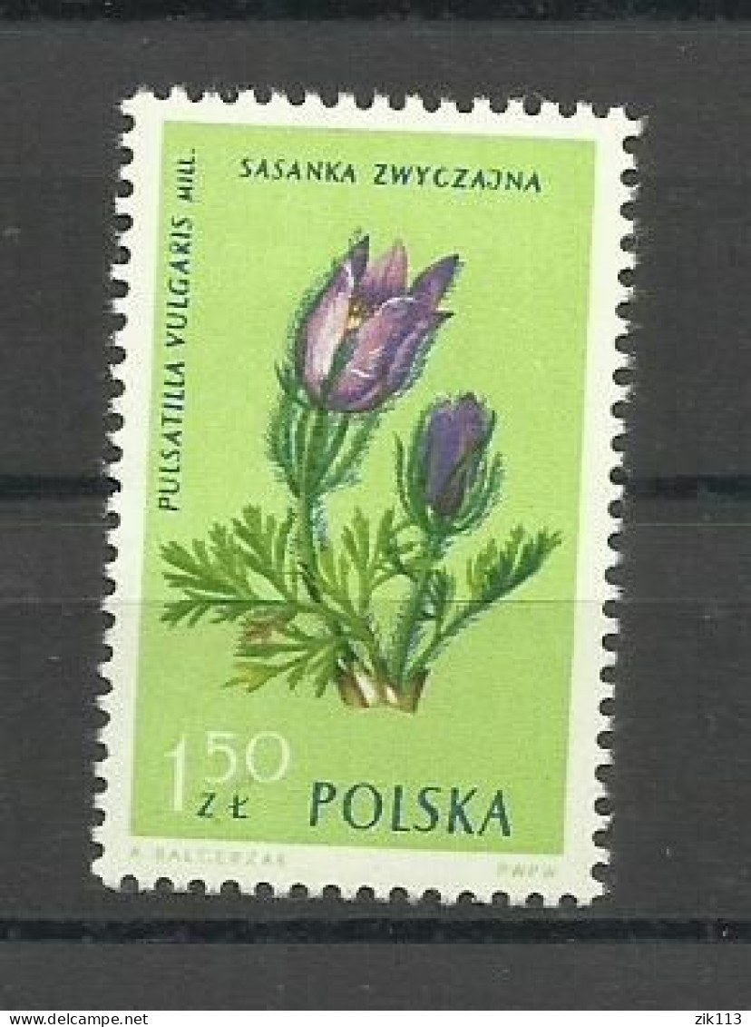 POLAND  1962 - FLOWERS  MNH - Unused Stamps