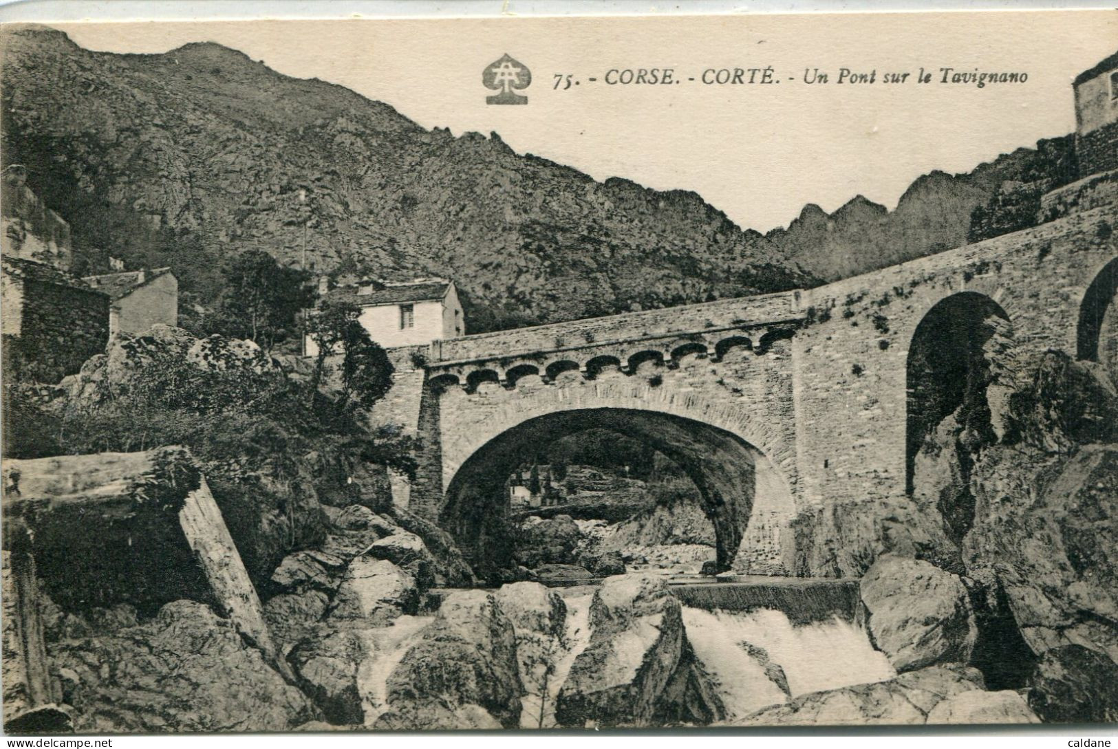- 2B-CORSE  -  CORTE -  Pont Sur Le Tavignano - Autres & Non Classés