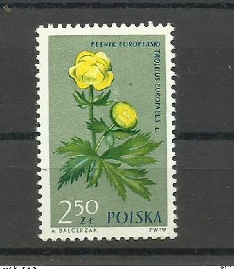 POLAND  1962 - FLOWERS  MNH - Unused Stamps