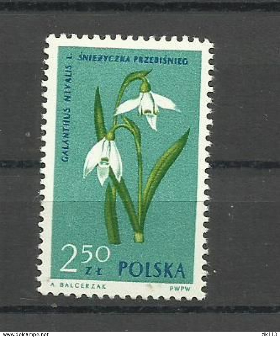 POLAND  1962 - FLOWERS  MNH - Unused Stamps