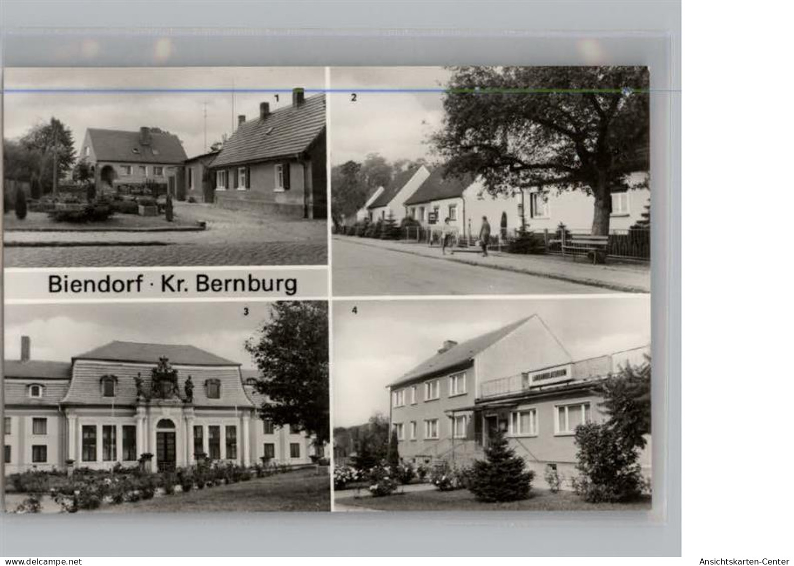 50231611 - Biendorf B Bernburg - Other & Unclassified