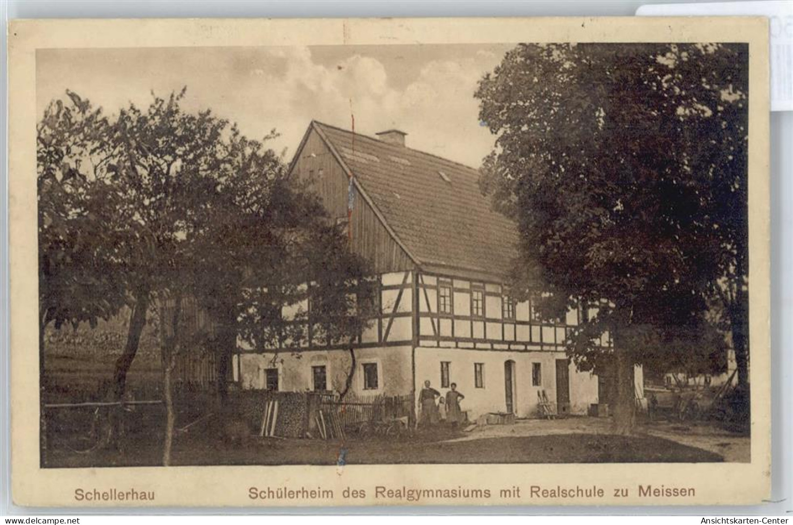 50419211 - Schellerhau - Altenberg