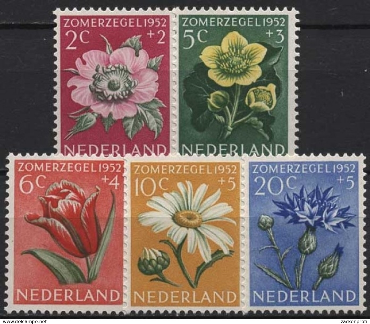 Niederlande 1952 Sommermarken Blumen 588/92 Postfrisch - Unused Stamps