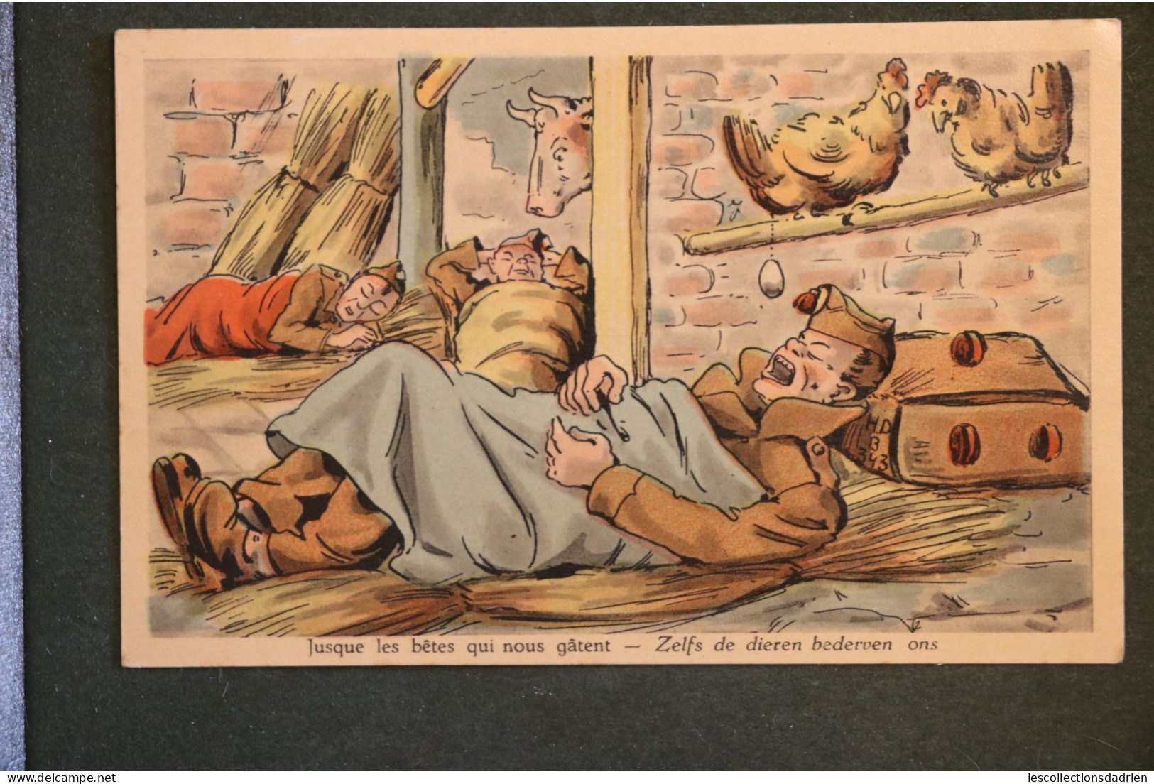 Carte Postale Humorisitque Militaires Soldats Jusque Les Bêtes Qui Nous Gâtent Zelfs De Dieren Bedreven Ons  H.d B 343 - Humour