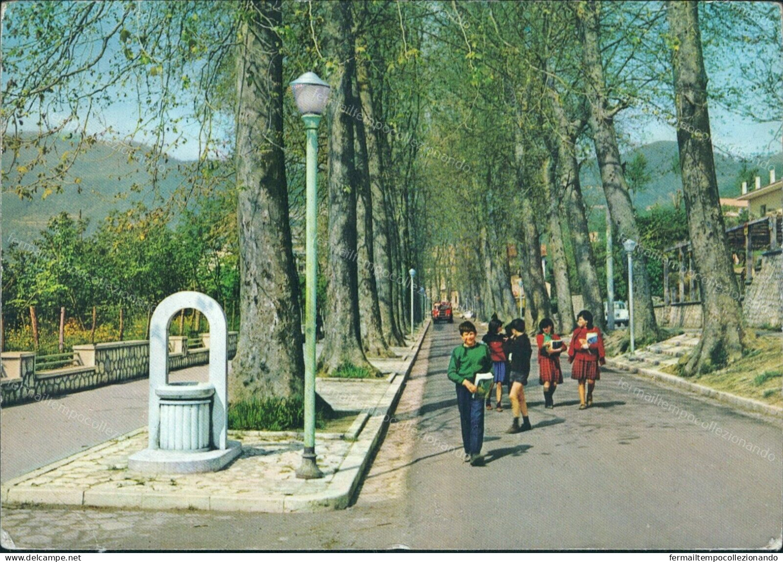 Cr502 Cartolina Mercogliano Viale S.modestino Provincia Di Avellino Campania - Avellino