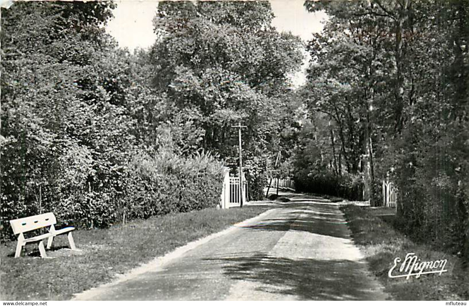 77* ST FARGEAU  Av De La Gare  (CPSM 9x14cm)          RL08.0500 - Saint Fargeau Ponthierry